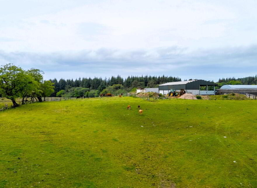 Land, Yard & Outbuildings At, Carnearney Road, Antrim, BT41 2RW