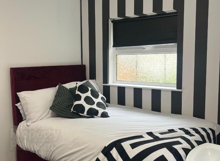 4 Eglantine Gardens, Room 3, Belfast, BT9 6EZ photo