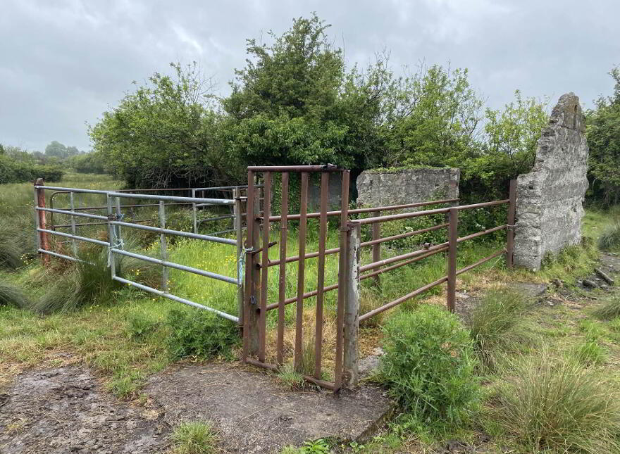 Cloghadoolarty North, Carnane, Fedamore