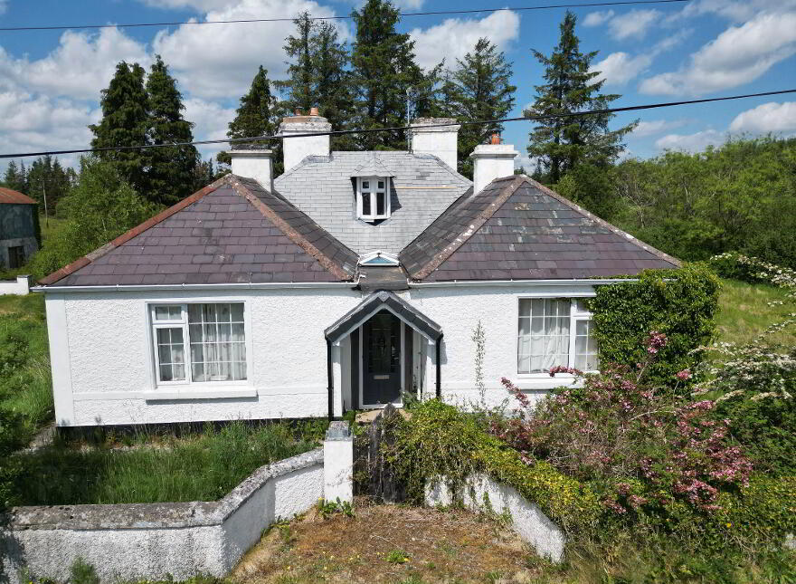 Cloonbonniff, Castlerea, F45V221 photo