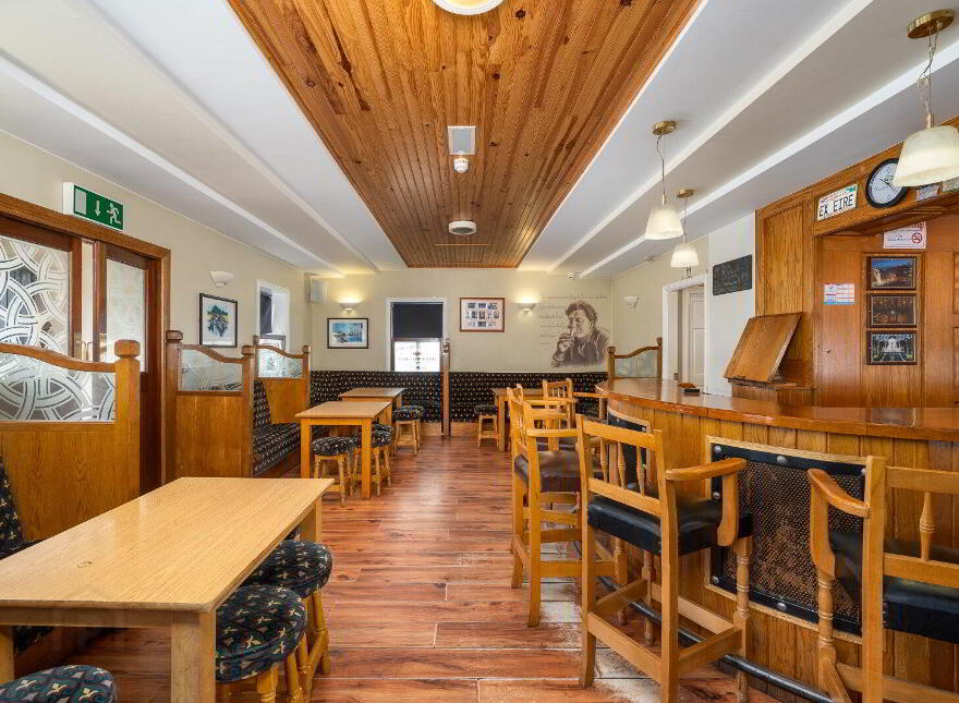 The Shannon Bar, Tarmonbarry, N39V0C3