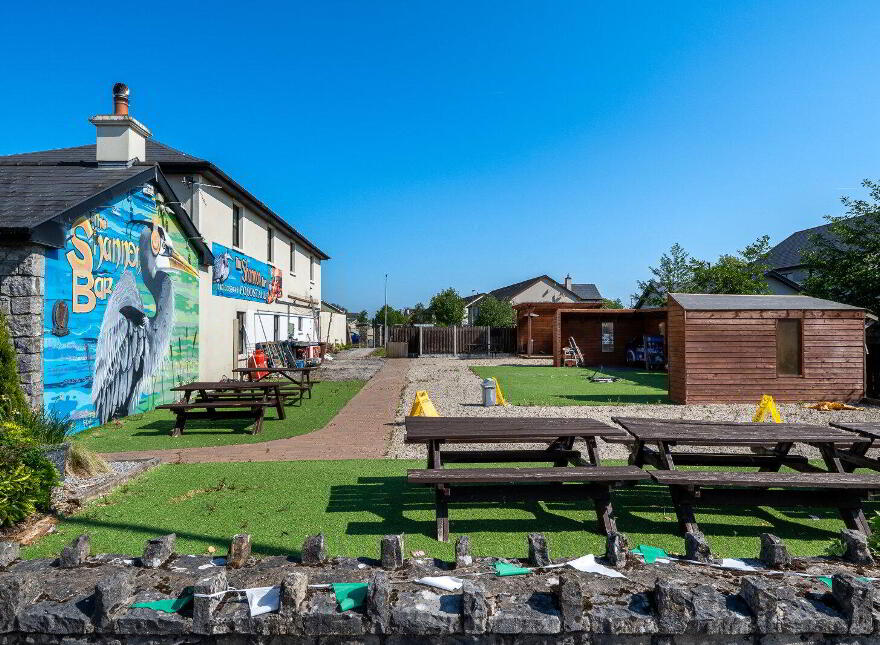 The Shannon Bar, Tarmonbarry, N39V0C3