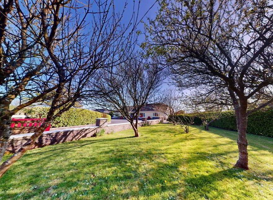 Bloomfield, Trimmer, Killinick, Y35HY24
