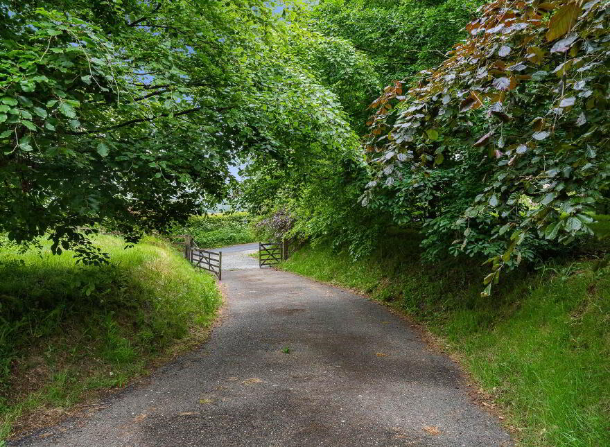 Lot 2 (, 1.25 Acre Site), Kinsellastown, Hollywood, County, W91C2X7 photo