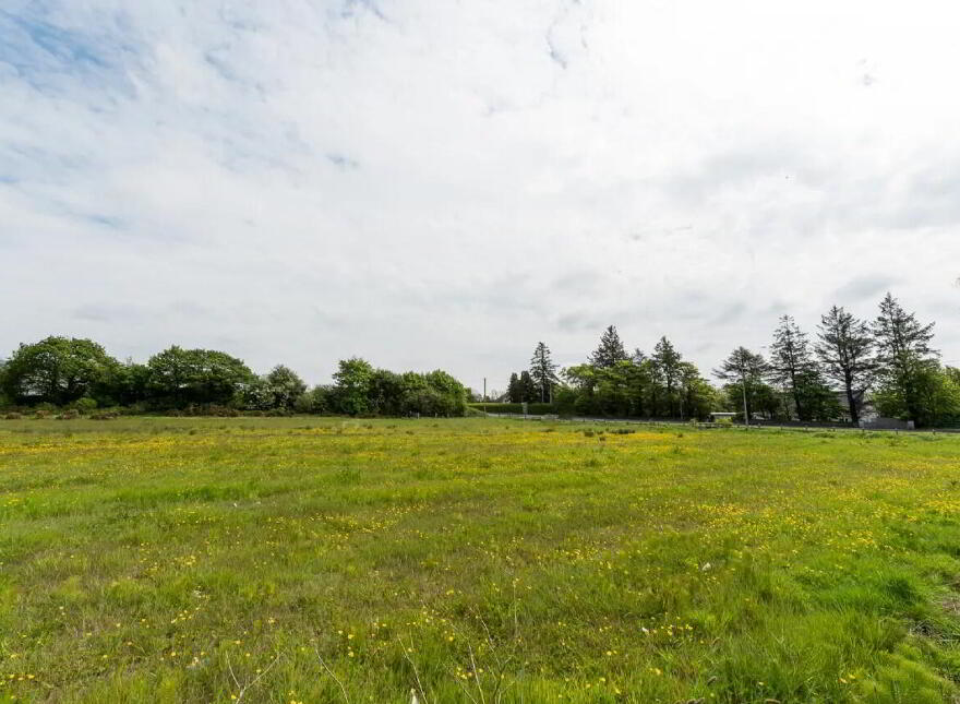 5.51 Acres Of Land At, Holy Cross, Butlerstown, Waterford City, X91HX93