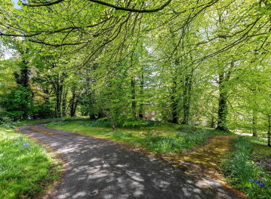 The Beeches, Coolshannagh, H18R928
