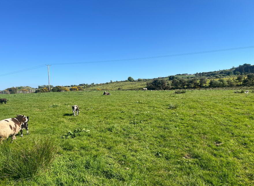 Lands At Killucan Road, Cookstown, BT80 9JW