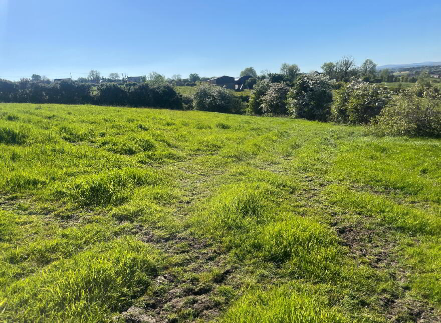 Lands At Killucan Road, Cookstown, BT80 9JW