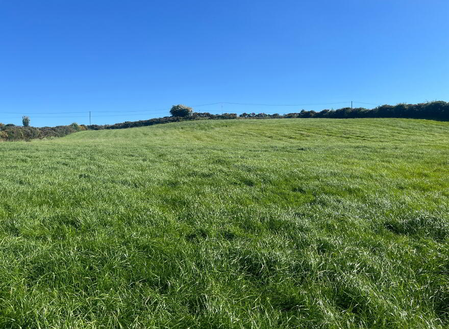 Lands At Killucan Road, Cookstown, BT80 9JW