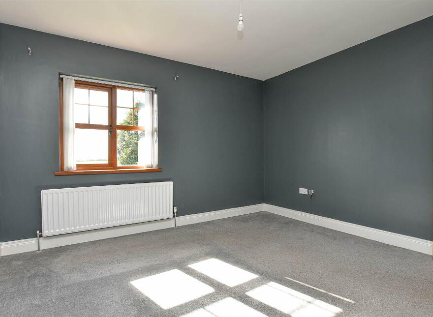 12 Chapel View, Chapeltown, Downpatrick, BT30 7WT
