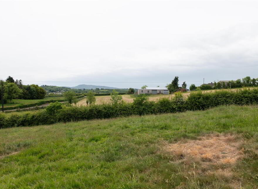 81 Lisburn Road, Ballynahinch, BT24 8TT