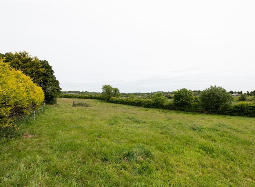 81 Lisburn Road, Ballynahinch, BT24 8TT