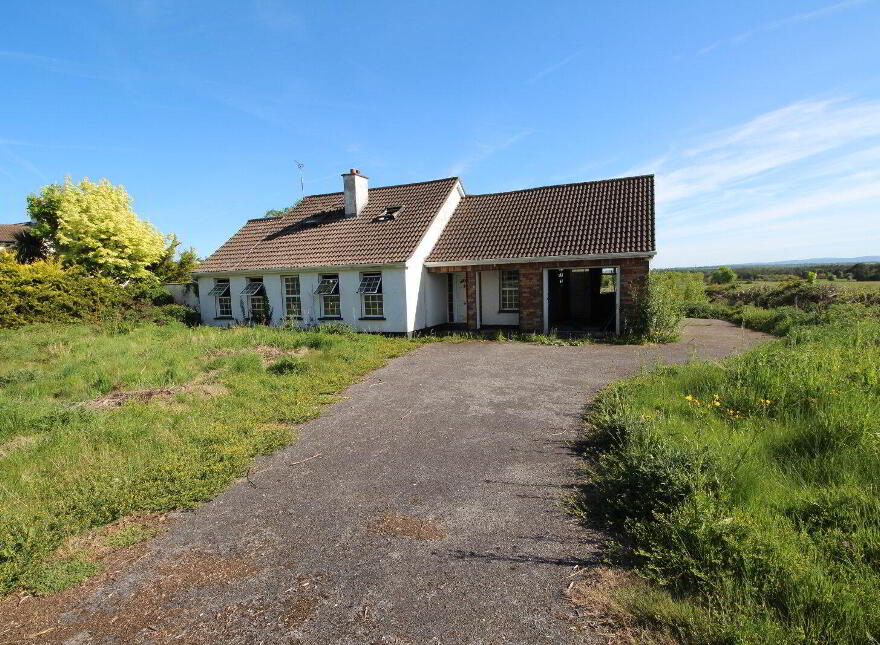Clonmore, Cappincur, Tullamore, R35D234 photo