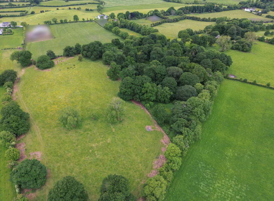 13 ACRES Rathcore Glebe, Rathcore, Enfield photo
