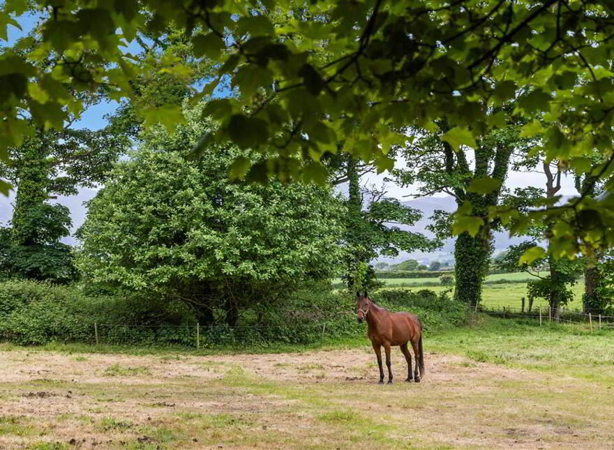 Murlough Country House, 25 Keel Point, Dundrum, Newcastle, BT33 0NQ