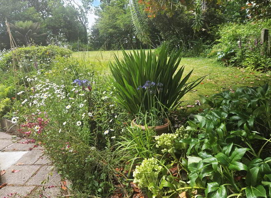 Corrabally, Ardfield, P85WE19