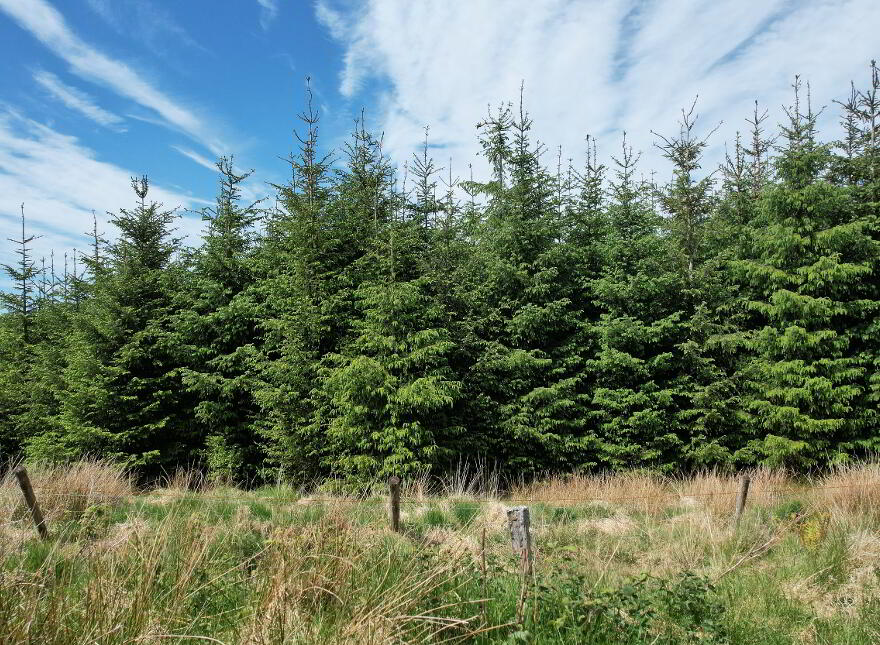 Meenabrock, Dunkineely