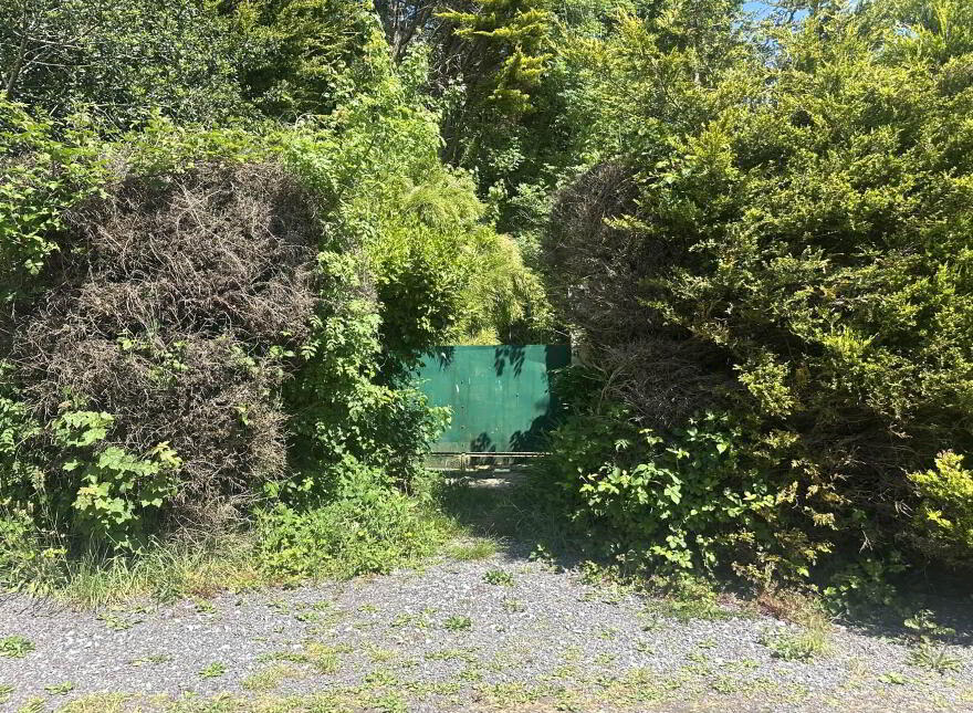 Bloomswood, Glencurragh, Skibbereen, P81YX22