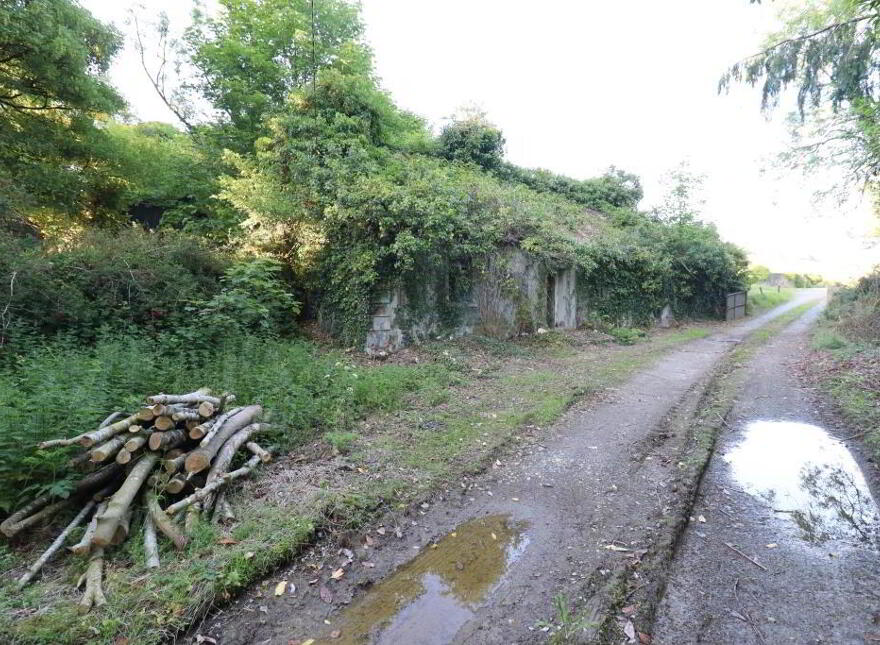Ballydonoghue, Kilfinane, Ballyorgan photo