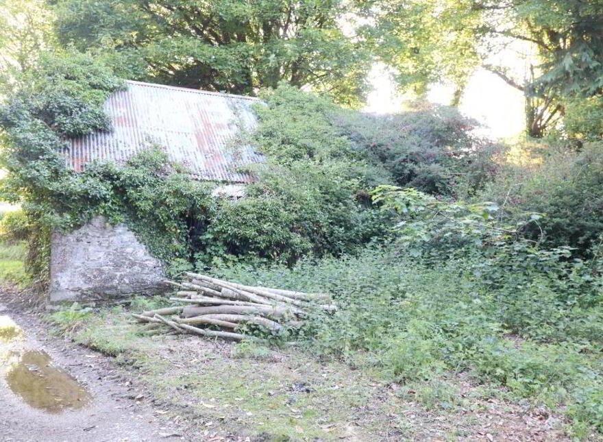 Ballydonoghue, Kilfinane, Ballyorgan