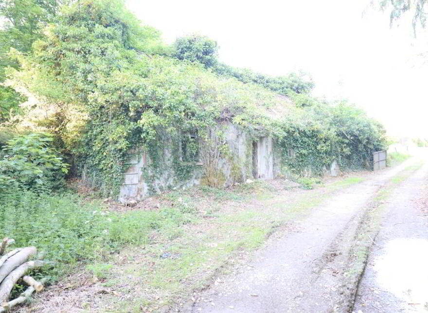 Ballydonoghue, Kilfinane, Ballyorgan