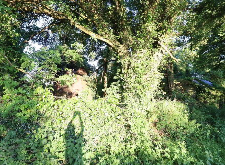 Ballydonoghue, Kilfinane, Ballyorgan