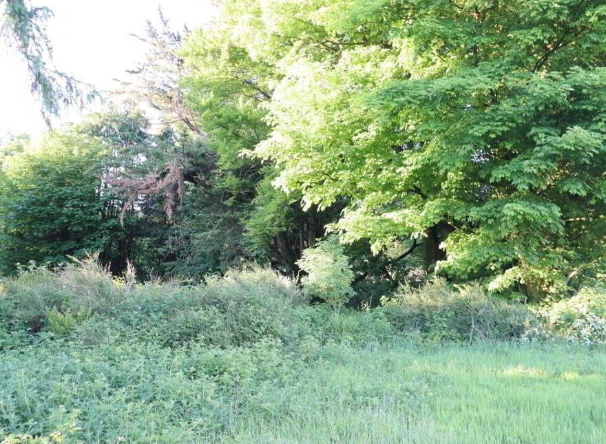 Ballydonoghue, Kilfinane, Ballyorgan