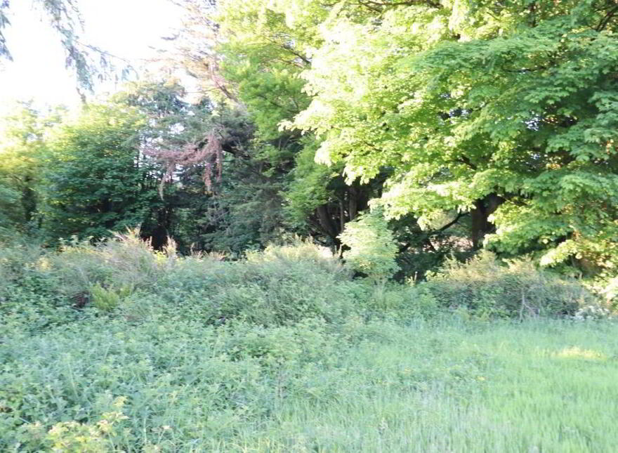 Ballydonoghue, Kilfinane, Ballyorgan