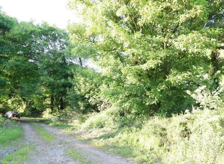 Ballydonoghue, Kilfinane, Ballyorgan