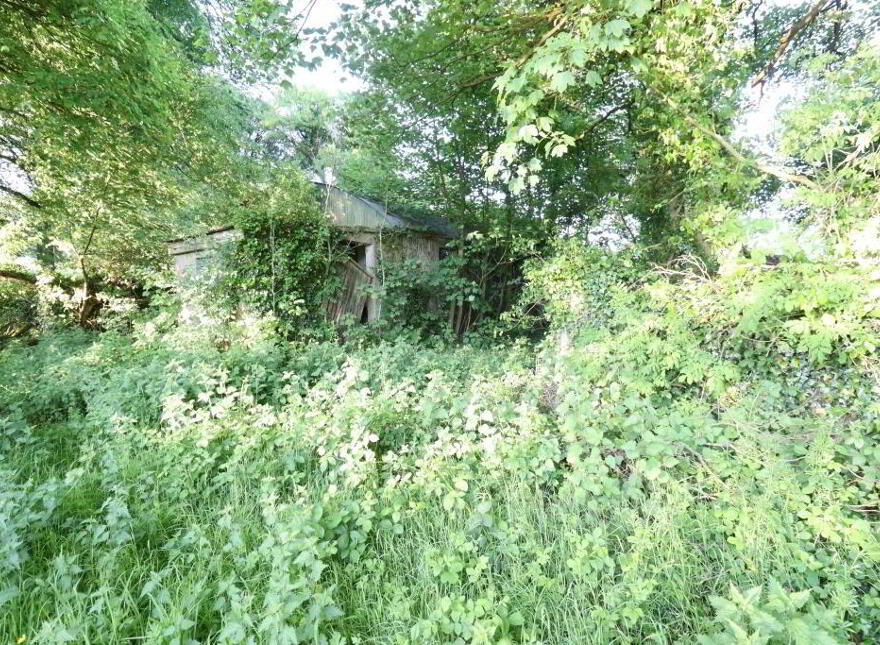 Ballydonoghue, Kilfinane, Ballyorgan