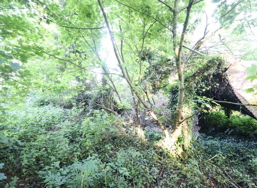 Ballydonoghue, Kilfinane, Ballyorgan