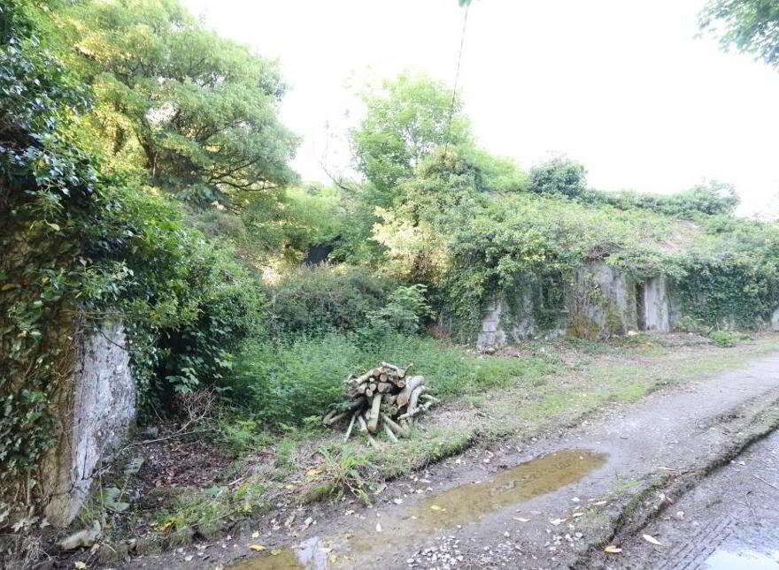 Ballydonoghue, Kilfinane, Ballyorgan