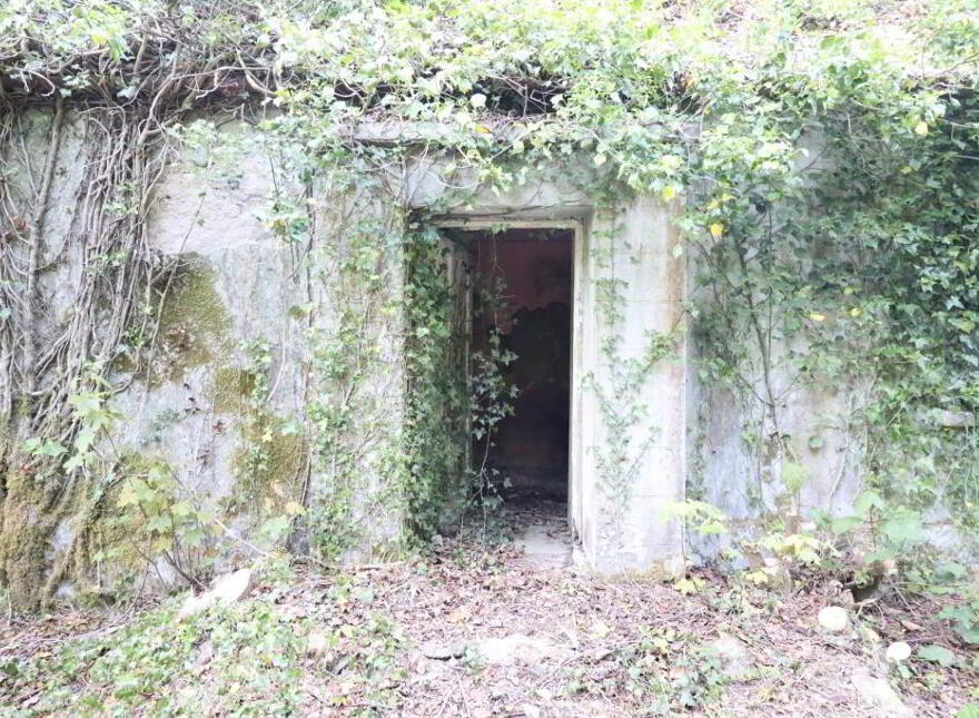 Ballydonoghue, Kilfinane, Ballyorgan