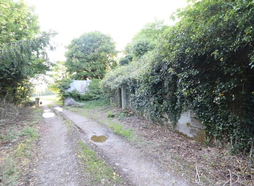 Ballydonoghue, Kilfinane, Ballyorgan