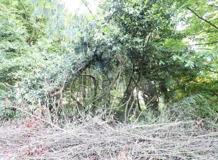 Ballydonoghue, Kilfinane, Ballyorgan
