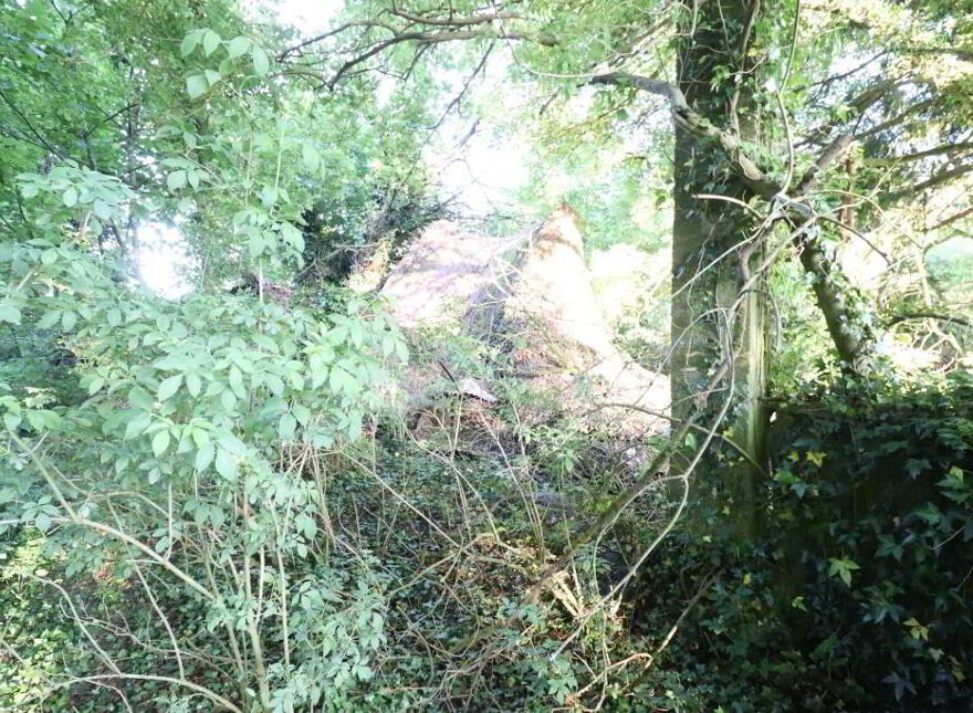 Ballydonoghue, Kilfinane, Ballyorgan