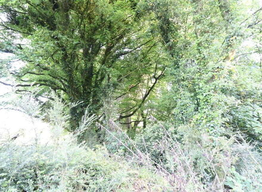 Ballydonoghue, Kilfinane, Ballyorgan