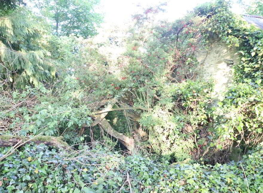 Ballydonoghue, Kilfinane, Ballyorgan