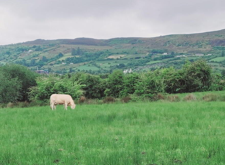 Greagh, Arigna photo
