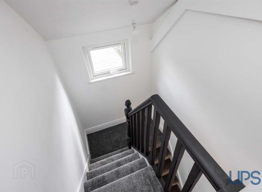 8 Nansen Street, Falls Road, Belfast, BT12 6AT