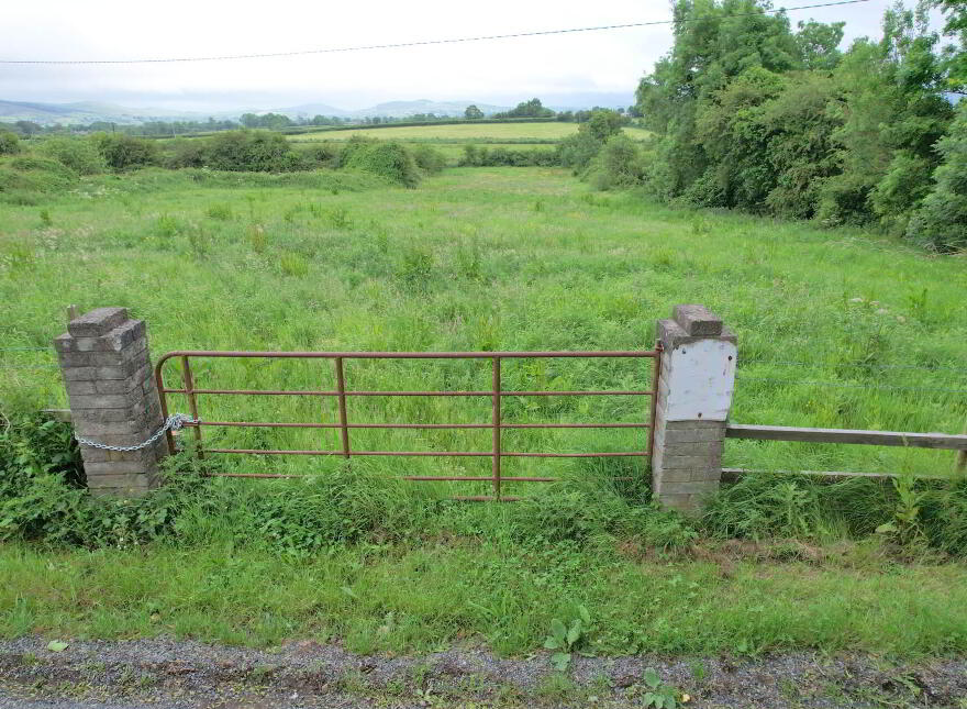 Ballinscaula, Kilmallock