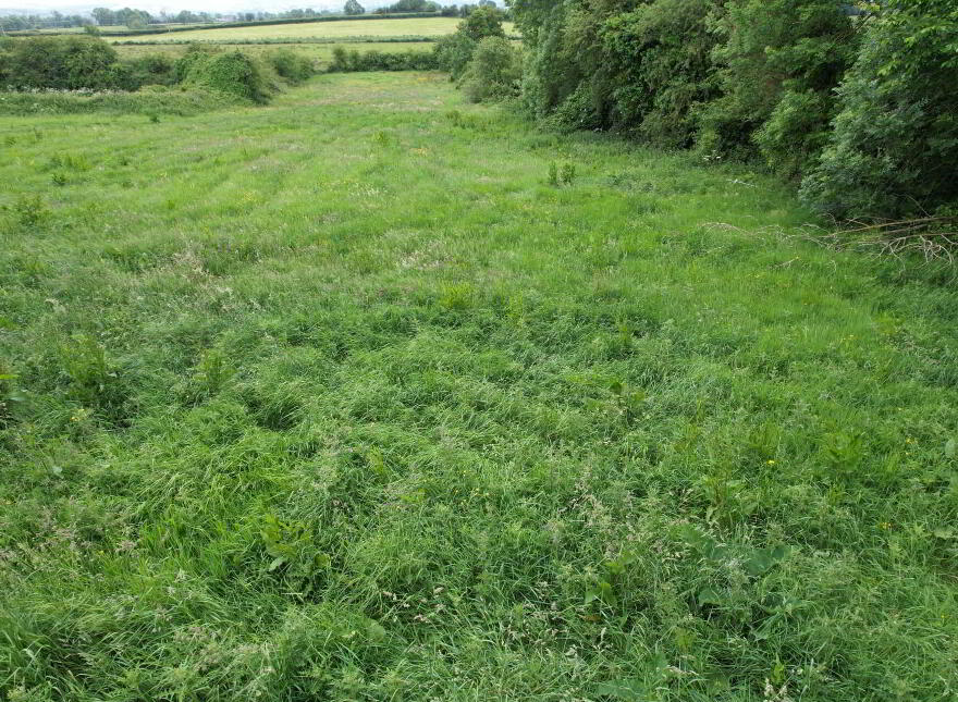 Ballinscaula, Kilmallock