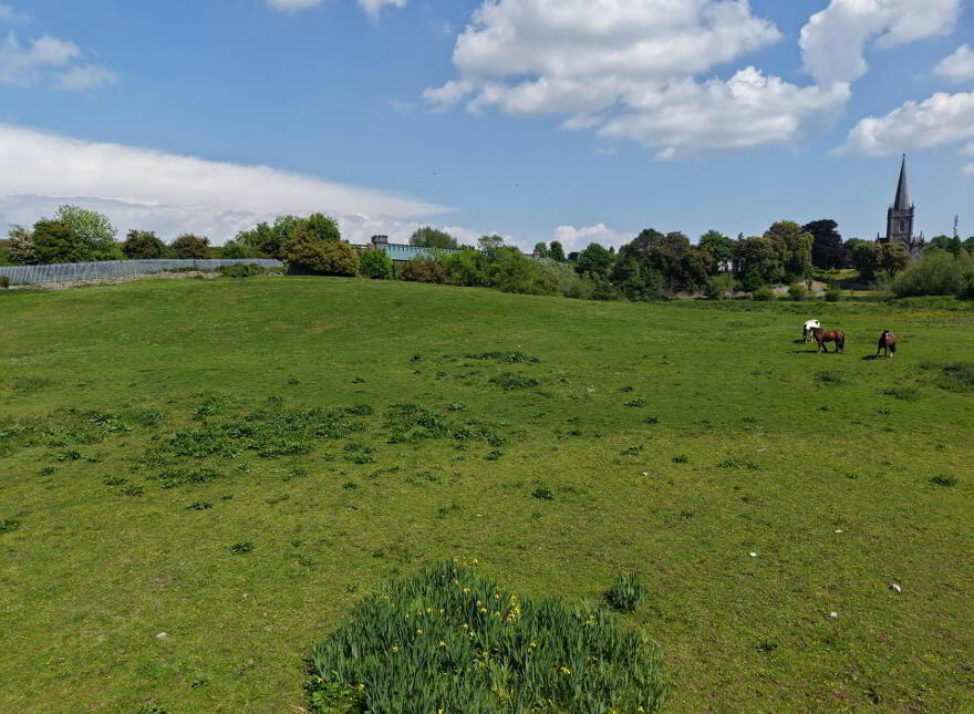 The Rock Field, Abbey St, Cahir, County Tipperary