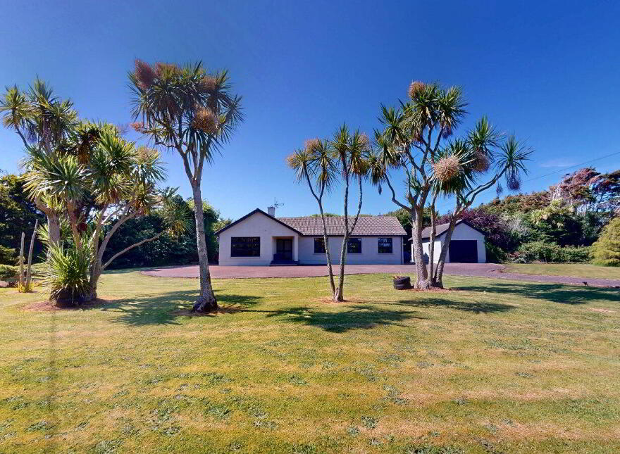 Shilmore, Carne, Y35D8N3 photo