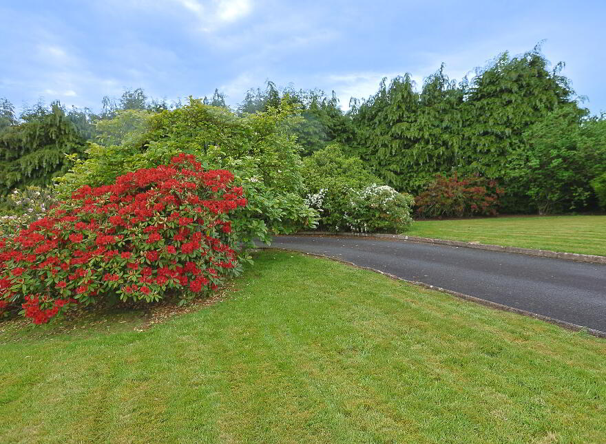 28 Derrycreevy Road, Dungannon, BT71 6RZ