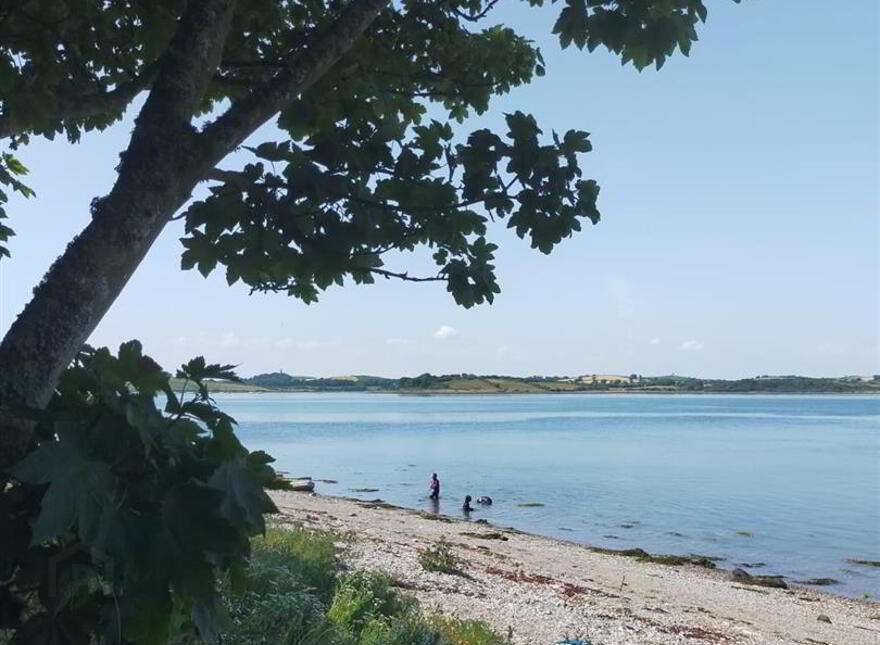 Dunnyneil Islands, Strangford Lough, Killyleagh