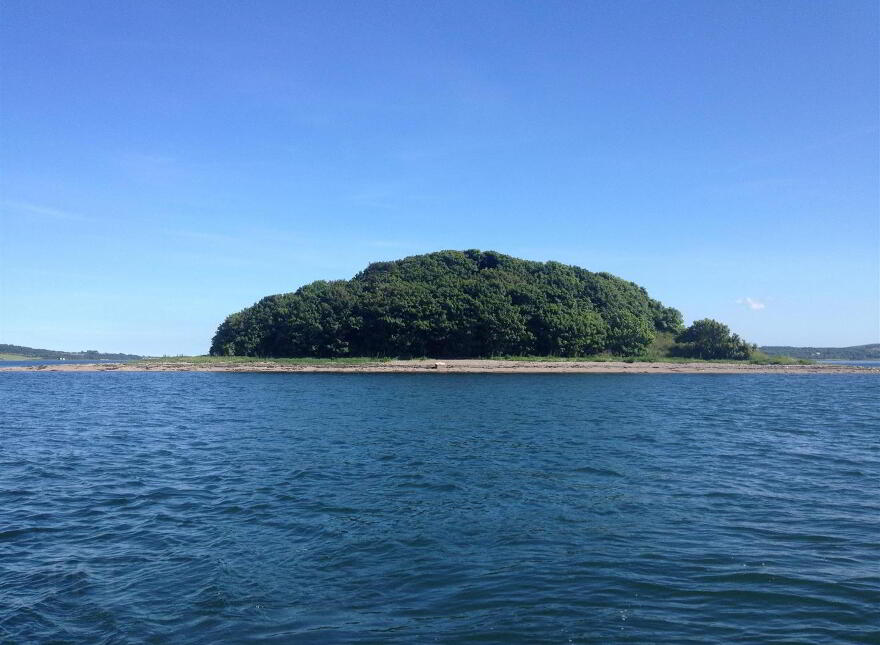 Dunnyneil Islands, Strangford Lough, Killyleagh