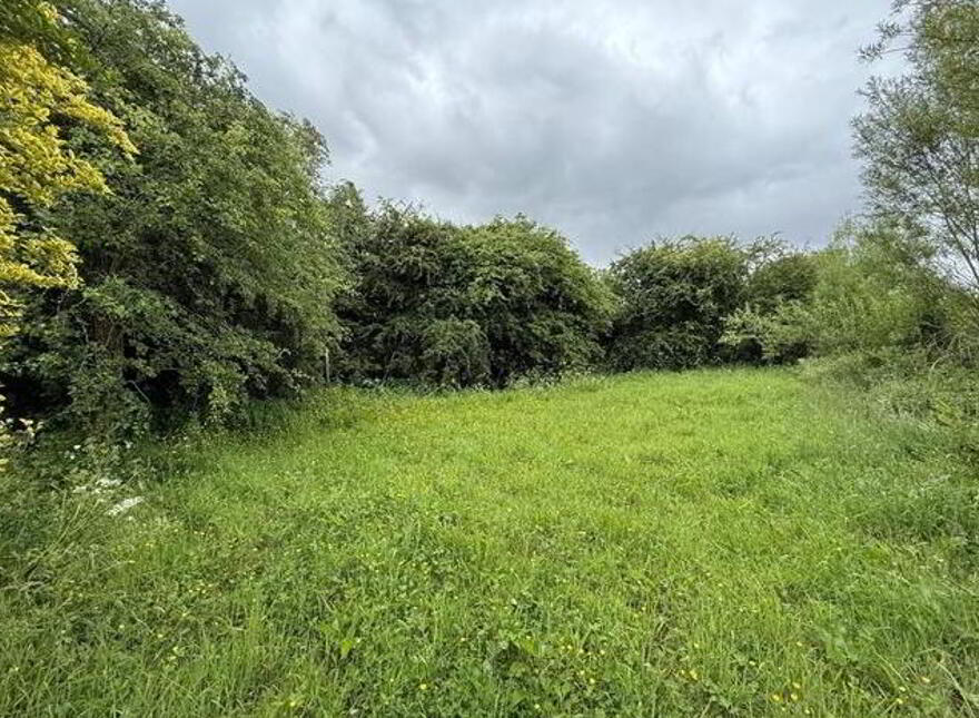 Cloonshanville, Frenchpark, Roscommon, F45W290