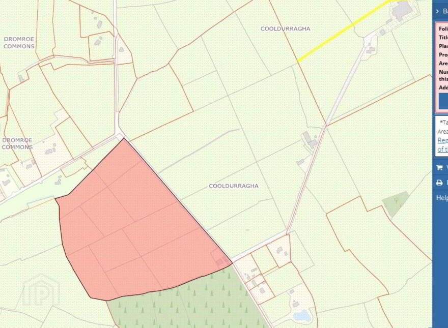 Mount Nagle, Mallow