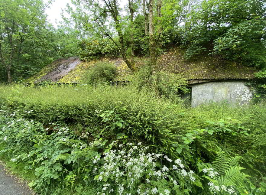 Mount Nagle, Mallow